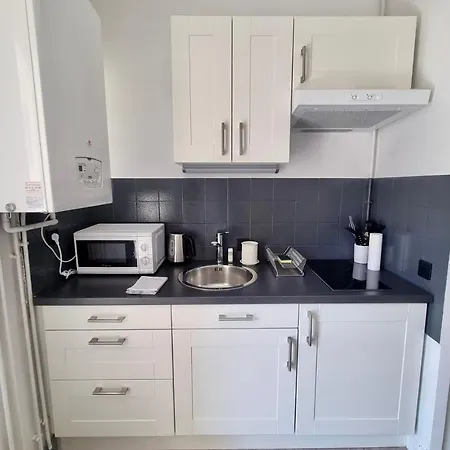 Le Cosy De L'ile Verte #dd Appartement Grenoble