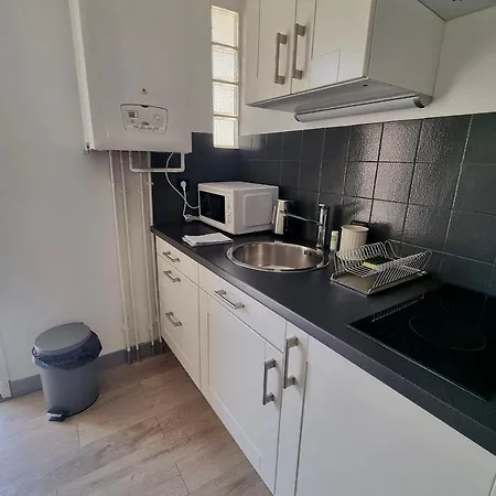 Le Cosy De L'ile Verte #dd Appartement Grenoble