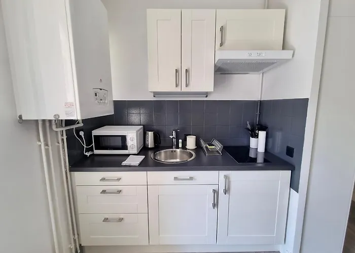 #dd L'ecrin Ile Verte Balcony דירה גרנובל